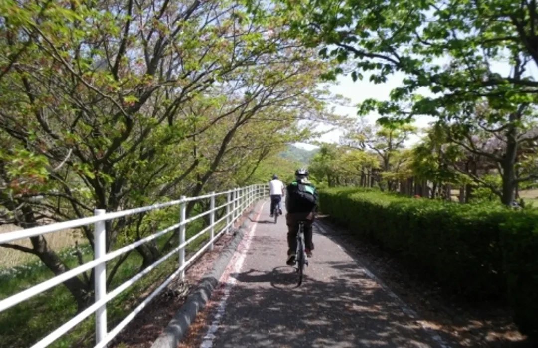 🌳 이마바리 시민의 숲 플라워 파크 (이마바리 시민노모리 후라와파쿠) 이미지 4